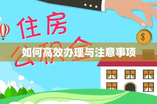 巩留如何高效办理与注意事项
