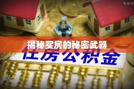 巩留揭秘买房的秘密武器