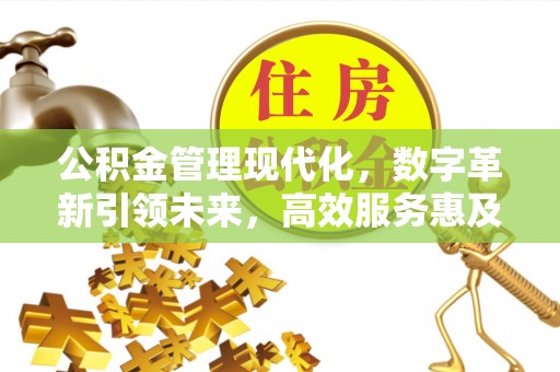 巩留公积金管理现代化，数字革新引领未来，高效服务惠及民生