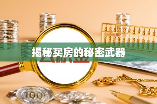 巩留揭秘买房的秘密武器